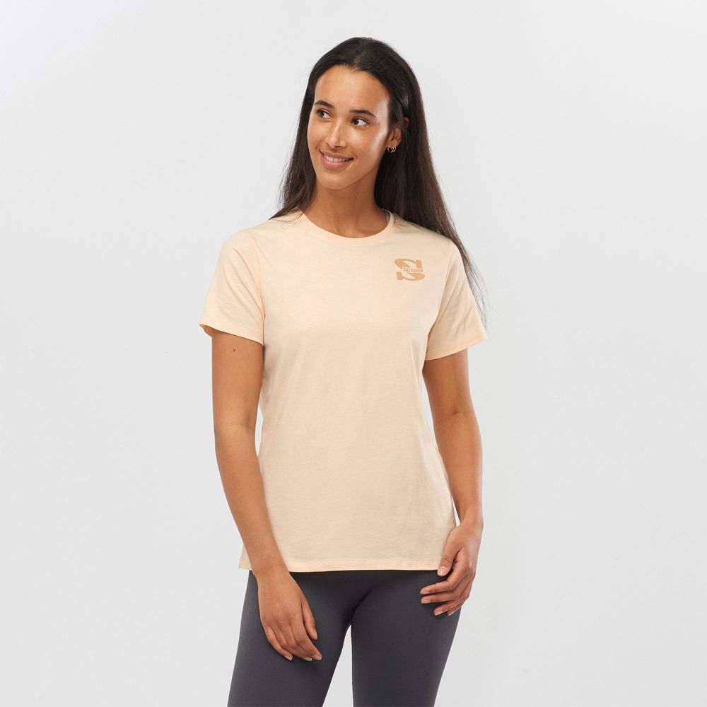 SALOMON OUTLIFE SMALL LOGO SS W Philippines - Women's Tee Shirts - Khaki | 692851-DNL